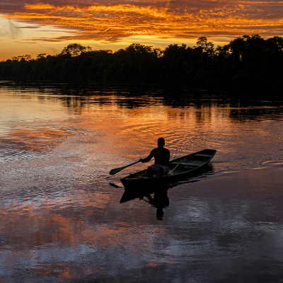 banner checkout (1) banner checkout (1)